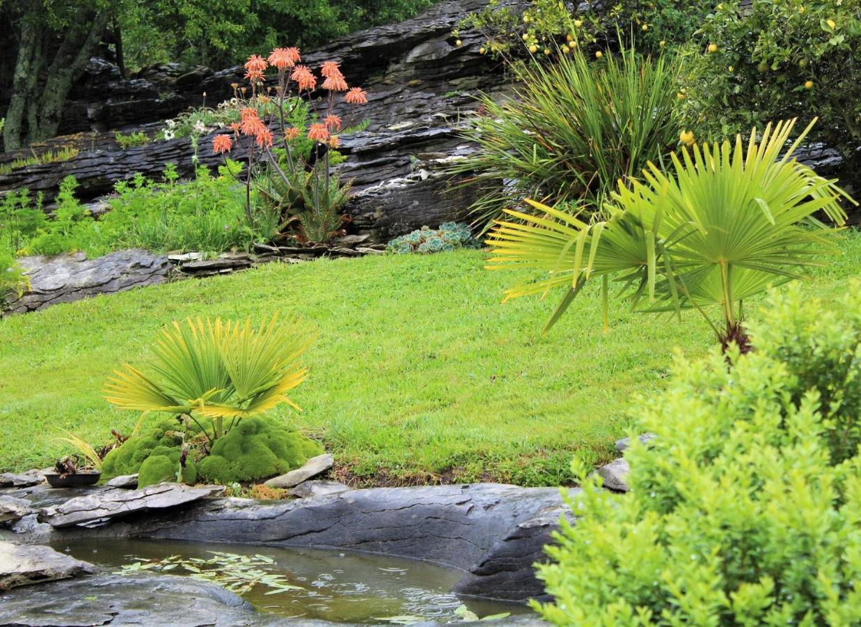 Hotel Labyrinth Gardens Takaka Exterior foto